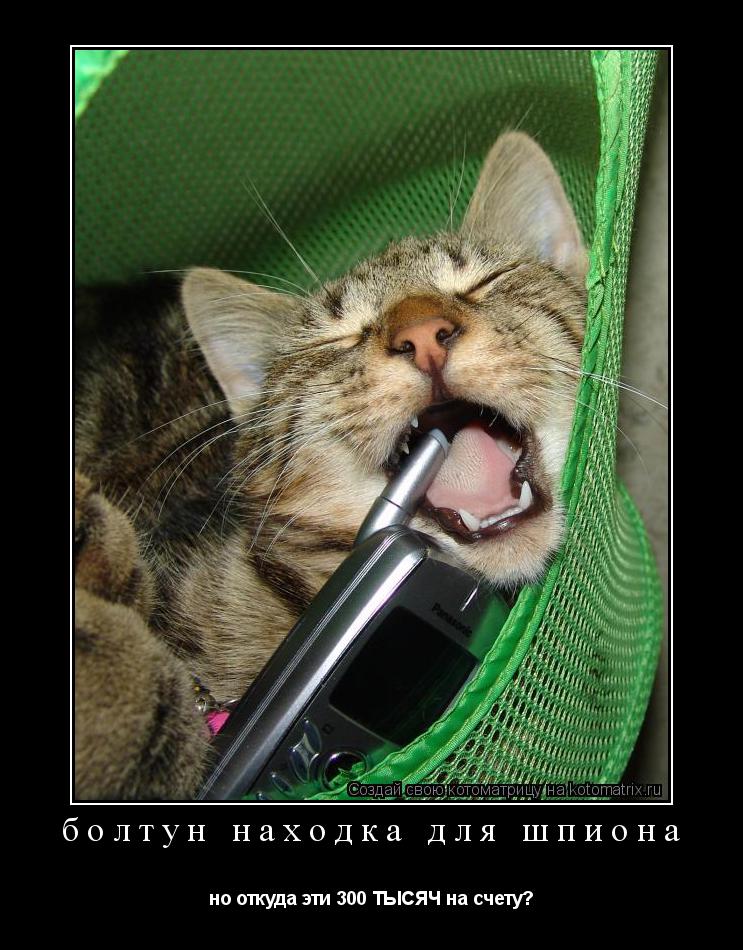 Котоматрица: болтун находка для шпиона но откуда эти 300 ТЫСЯЧ на счету?