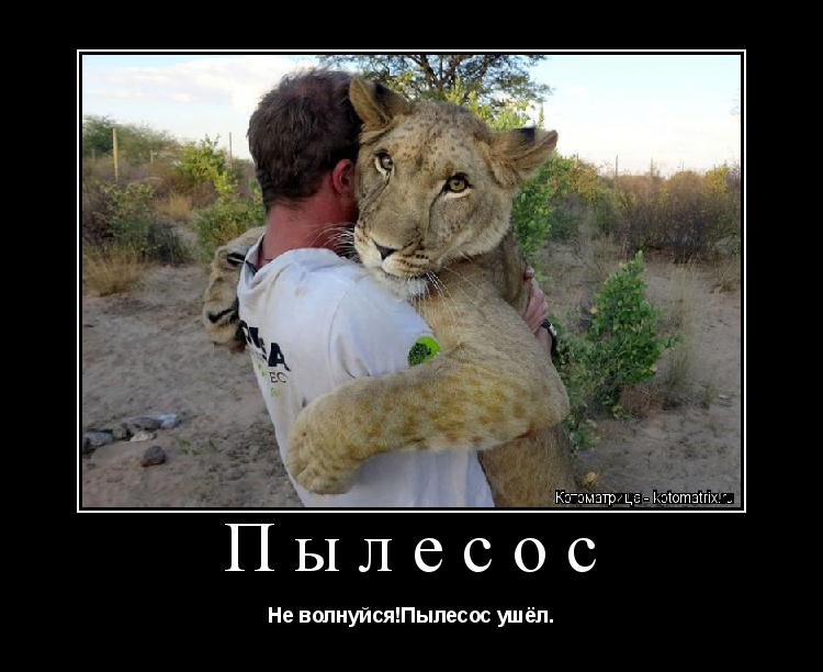 Котоматрица: Пылесос Не волнуйся!Пылесос ушёл.