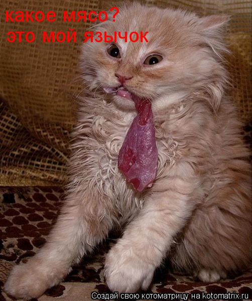 Котоматрица: какое мясо? это мой язычок
