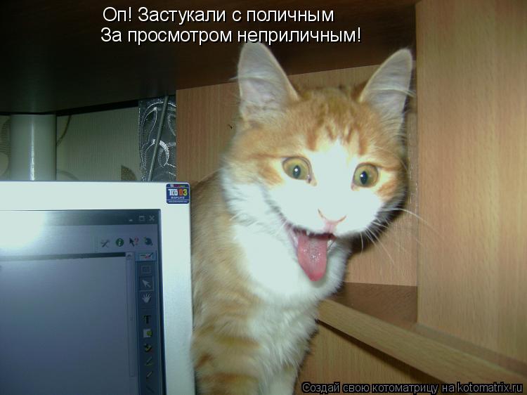 Котоматрица: Оп! Застукали с поличным За просмотром неприличным!