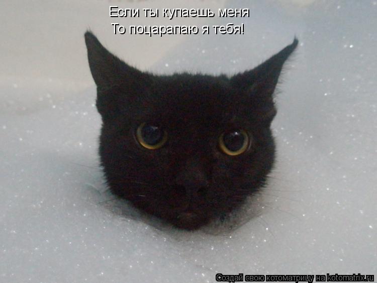 Котоматрица: Если ты купаешь меня То поцарапаю я тебя!