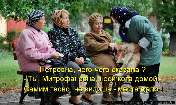 Котоматрица: - Петровна, чего-чего сказала ? - Ты, Митрофановна, неси кота домой, Самим тесно, не видишь - места мало !