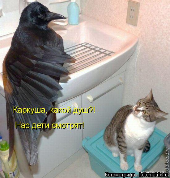 Котоматрица: Каркуша, какой душ?! Нас дети смотрят!