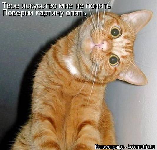 Котоматрица: Твое искусство мне не понять Поверни картину опять