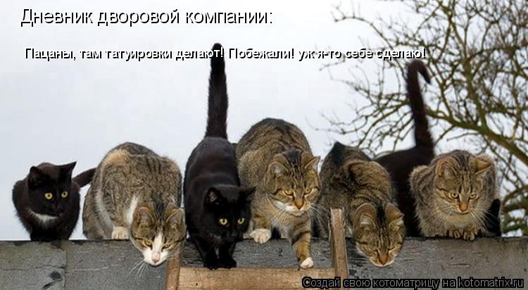 Котоматрица: Дневник дворовой компании: Пацаны, там татуировки делают! Побежали! уж я-то себе сделаю!