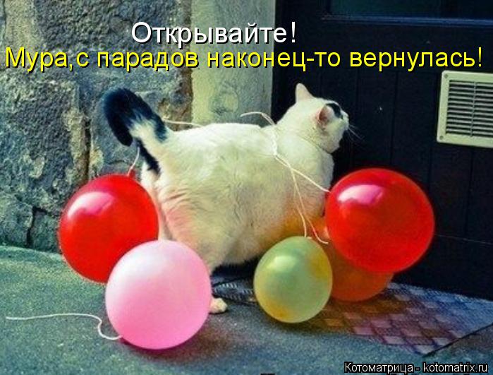 Котоматрица: Открывайте! Мура,с парадов наконец-то вернулась!