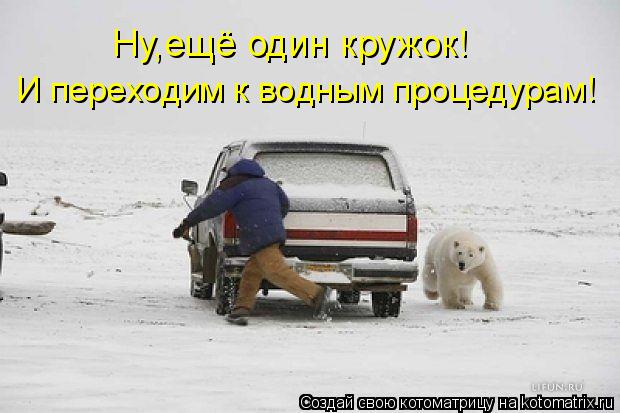 Котоматрица: Ну,ещё один кружок! И переходим к водным процедурам!
