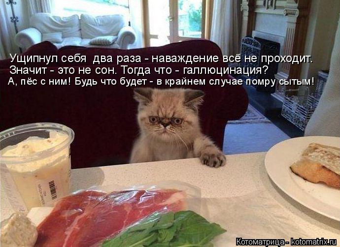 Котоматрица: Ущипнул себя  два раза - наваждение всё не проходит. Значит - это не сон. Тогда что - галлюцинация? А, пёс с ним! Будь что будет - в крайнем случа