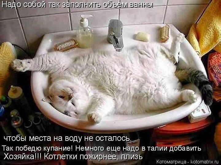 Котоматрица: Надо собой так заполнить объем ванны чтобы места на воду не осталось. Так победю купиние! Немного осталось. Хозяйка!!! Котлетки пожирнее, пли