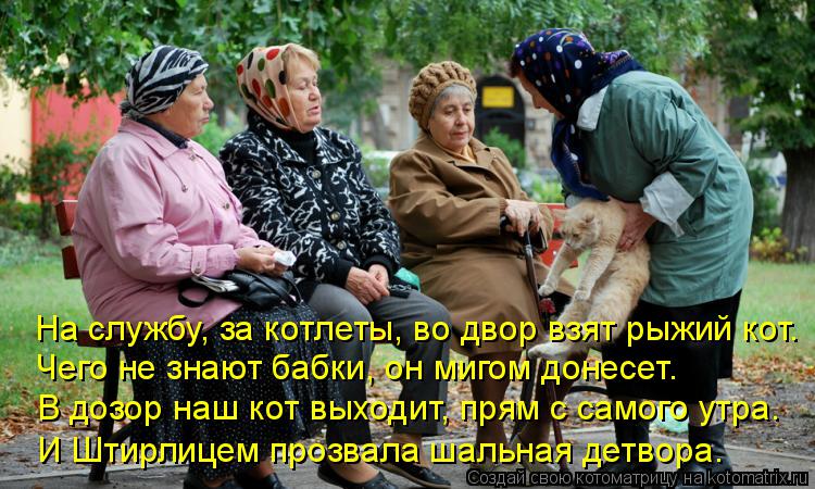 Котоматрица: На службу, за котлеты, во двор взят рыжий кот. Чего не знают бабки, он мигом донесет. В дозор наш кот выходит, прям с самого утра. И Штирлицем п