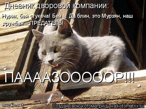 Котоматрица: Дневник дворовой компании: Нурик, бей стукача! Бей ... Да блин, это Мурзян, наш дружбан... ПРЕДАТЕЛЬ!  ПААААЗОООООР!!!