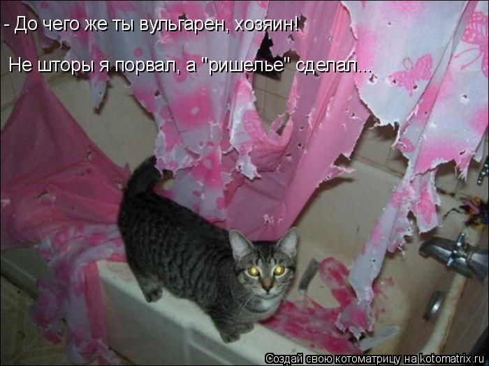 - До чего же ты вульгарен, хозяин! Не шторы я порвал, а "ришелье" сделал...... Котоматрица: - До чего же ты вульгарен, хозяин! Не шторы я порвал, а "ришелье" сделал...