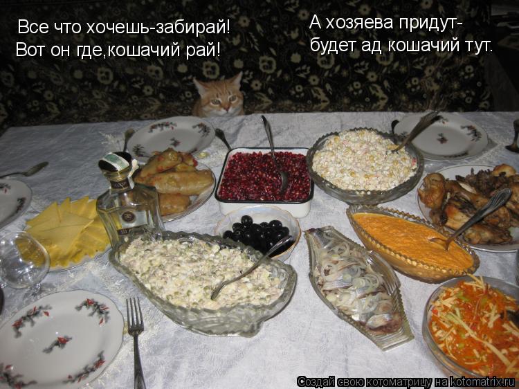 Котоматрица: Все что хочешь-забирай! Вот он где,кошачий рай! А хозяева придут- будет ад кошачий тут.