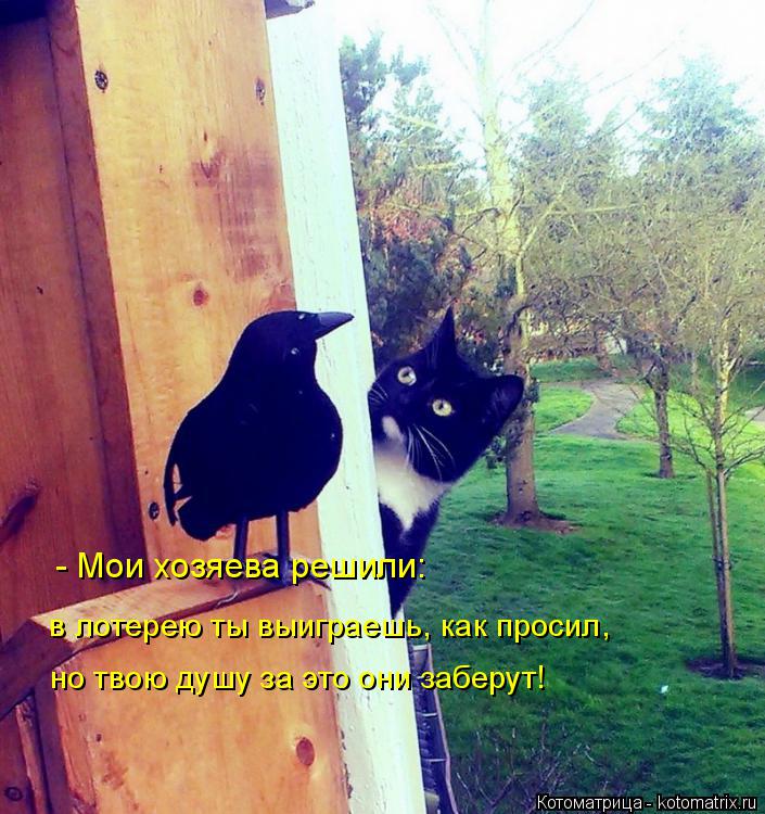 Котоматрица: - Мои хозяева решили: в лотерею ты выиграешь, как просил, но твою душу за это они заберут!