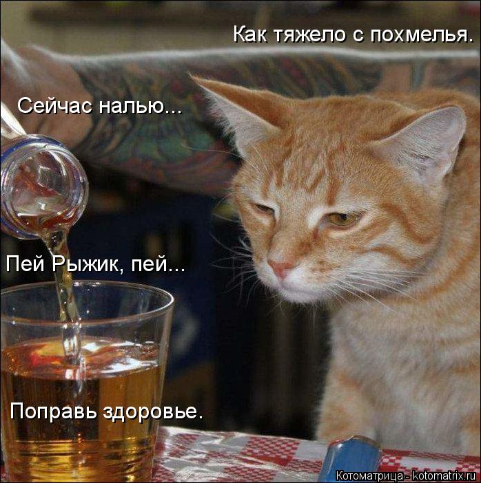 Котоматрица: Как тяжело с похмелья. Пей Рыжик, пей... Сейчас налью... Поправь здоровье.