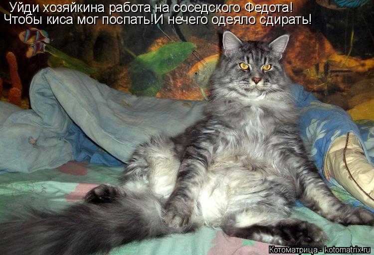 Котоматрица: Уйди хозяйкина работа на соседского Федота! Чтобы киса мог поспать!И нечего одеяло сдирать!