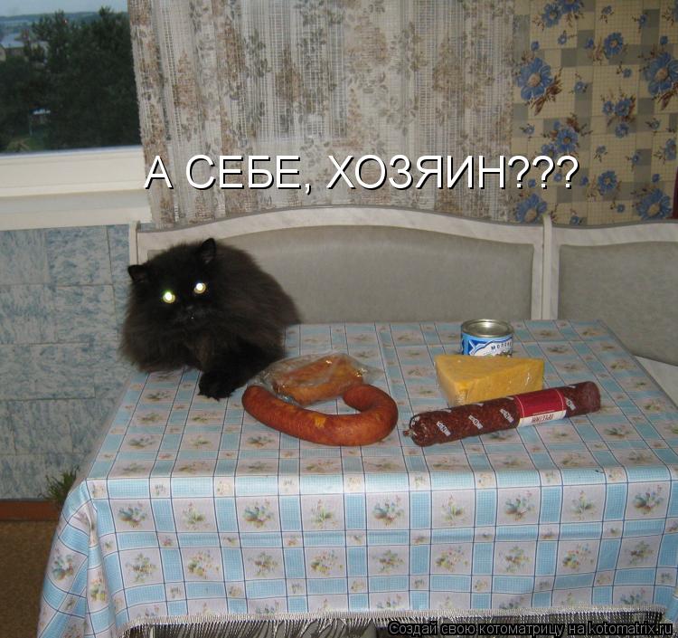 Котоматрица: А СЕБЕ, ХОЗЯИН???