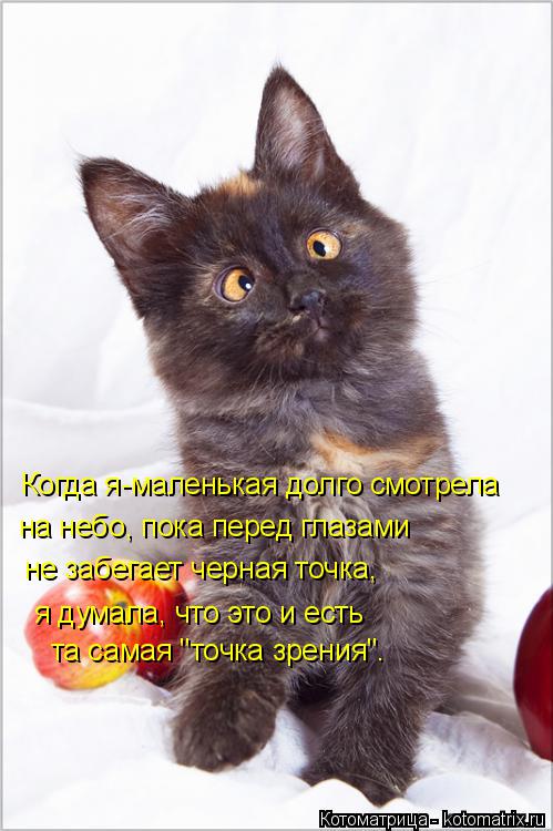 Котоматрица: Когда я-маленькая долго смотрела на небо, пока перед глазами не забегает черная точка, я думала, что это и есть та самая "точка зрения".