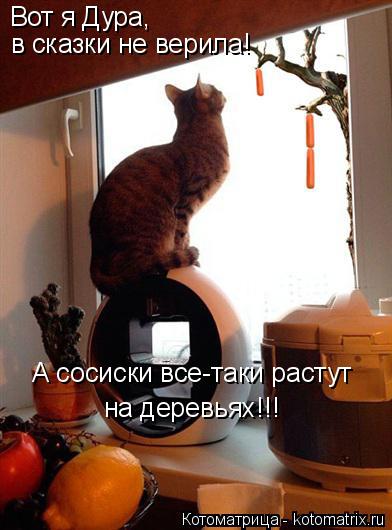 Котоматрица: Вот я Дура,  в сказки не верила! А сосиски все-таки растут на деревьях!!!