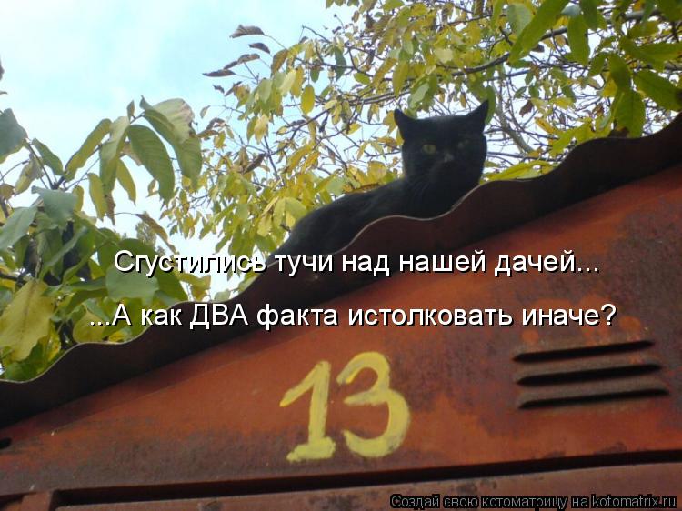 Котоматрица: ...А как ДВА факта истолковать иначе? Сгустились тучи над нашей дачей...