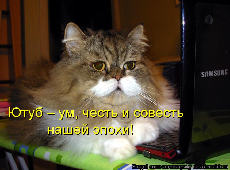 Котоматрица: Ютуб – ум, честь и совесть нашей эпохи!