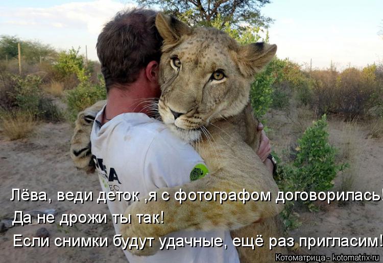 Котоматрица: Лёва, веди деток ,я с фотографом договорилась! Да не дрожи ты так! Если снимки будут удачные, ещё раз пригласим!