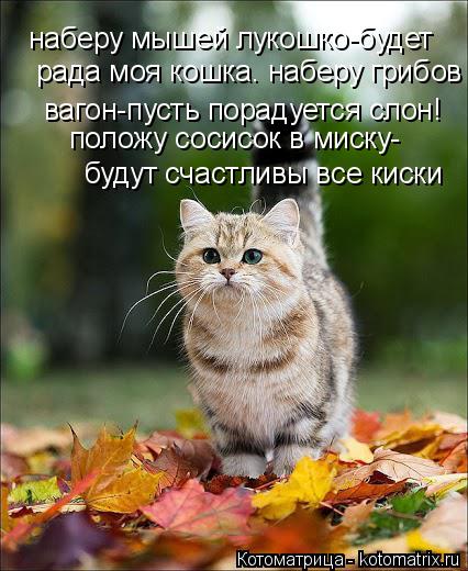 Котоматрица: наберу мышей лукошко-будет рада моя кошка. наберу грибов вагон-пусть порадуется слон! положу сосисок в миску- будут счастливы все киски