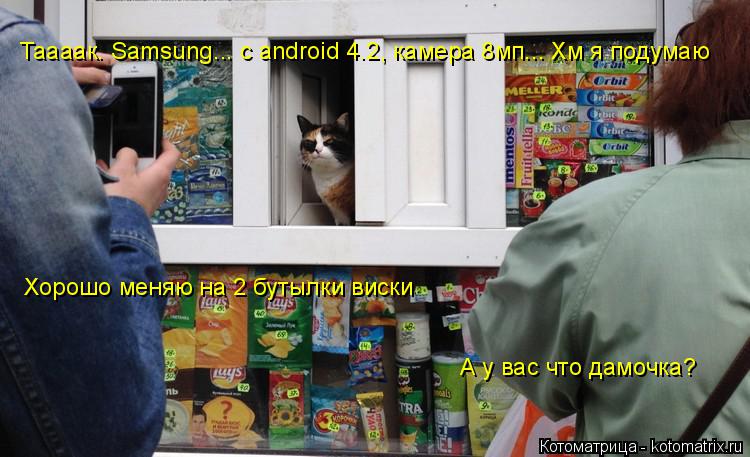 Котоматрица: Таааак. Samsung... c android 4.2, камера 8мп... Хм я подумаю Хорошо меняю на 2 бутылки виски А у вас что дамочка?