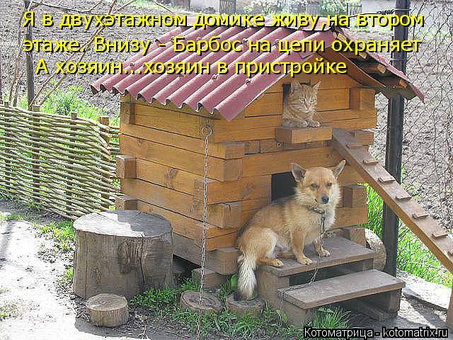Котоматрица: Я в двухэтажном домике живу,на втором  этаже. Внизу - Барбос на цепи охраняет А хозяин...хозяин в пристройке