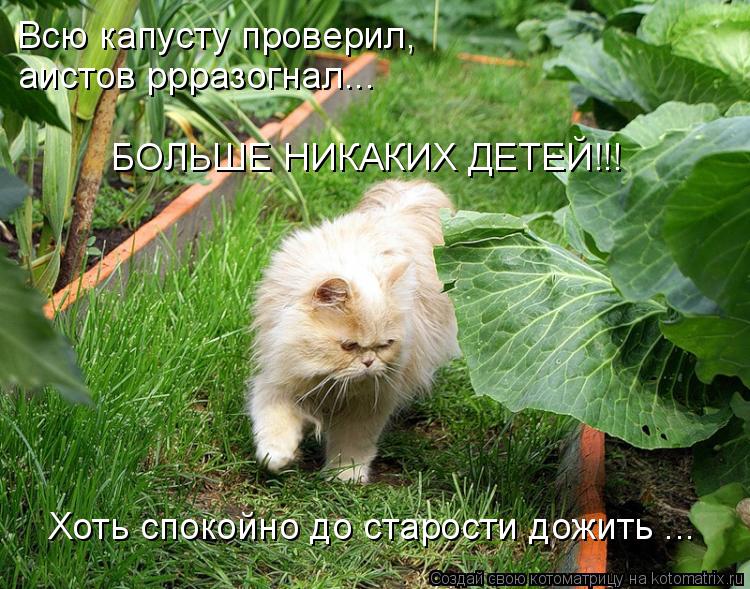 Котоматрица: Всю капусту проверил,  аистов ррразогнал... БОЛЬШЕ НИКАКИХ ДЕТЕЙ!!! Хоть спокойно до старости дожить ...