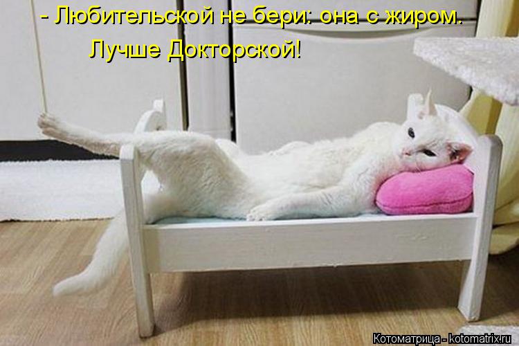 Котоматрица: - Любительской не бери: она с жиром.  Лучше Докторской!