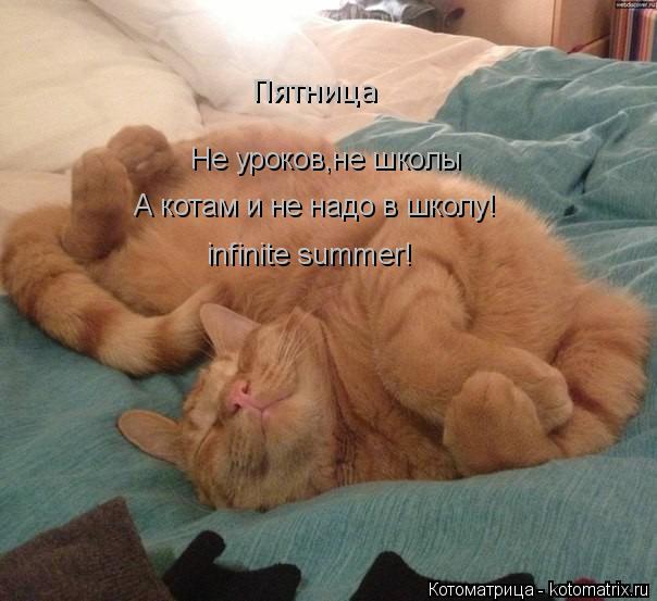 Котоматрица: Пятница Не уроков,не школы А котам и не надо в школу! infinite summer!