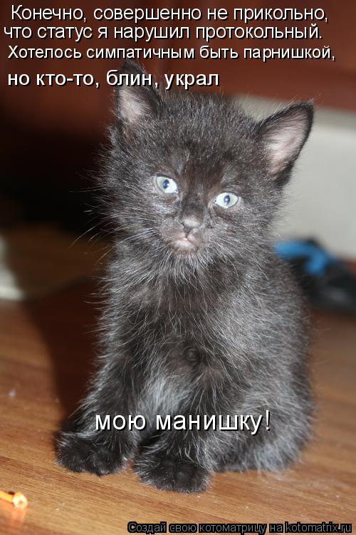 Котоматрица: Конечно, совершенно не прикольно, что статус я нарушил протокольный. Хотелось симпатичным быть парнишкой, но кто-то, блин, украл мою манишку