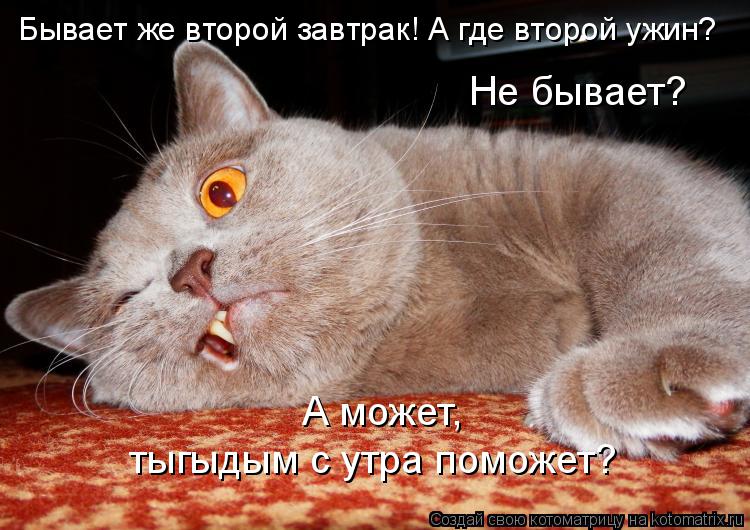 Котоматрица: Бывает же второй завтрак! А где второй ужин? Не бывает? А может, тыгыдым с утра поможет?