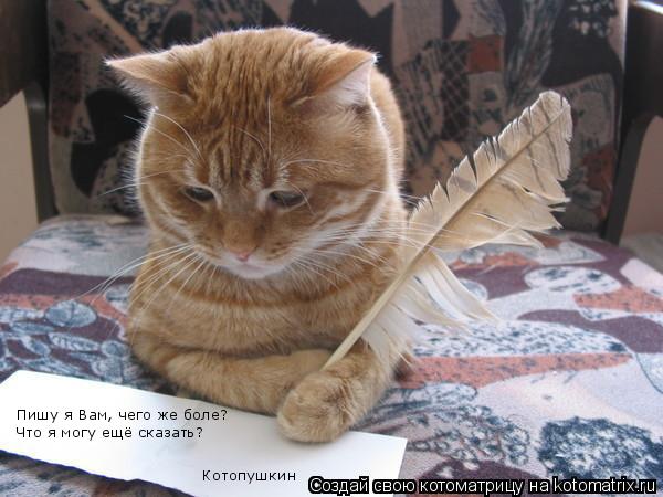 Котоматрица: Пишу я Вам, чего же боле?  Что я могу ещё сказать?  Котопушкин