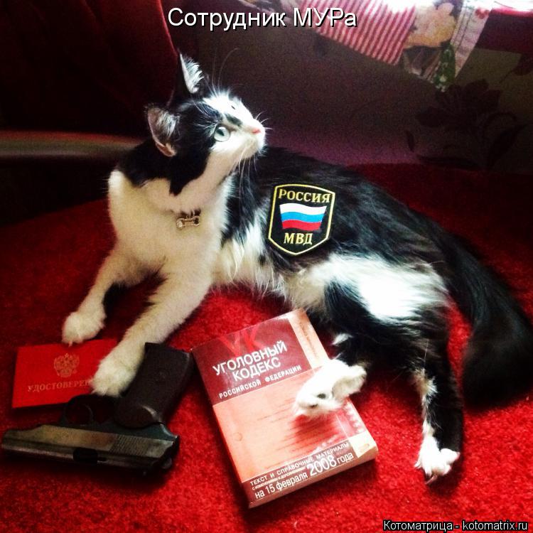 Котоматрица: Сотрудник МУРа
