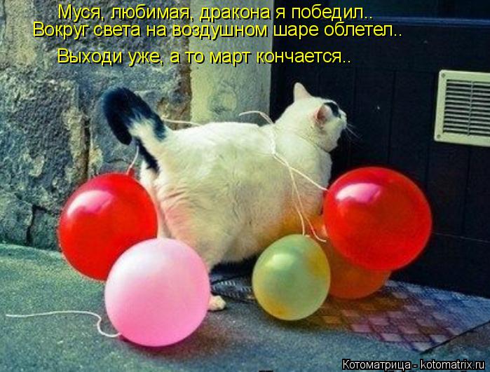 Котоматрица: Муся, любимая, дракона я победил.. Вокруг света на воздушном шаре облетел.. Выходи уже, а то март кончается..