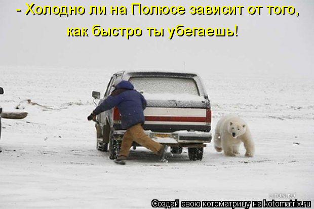 Котоматрица: - Холодно ли на Полюсе зависит от того, как быстро ты убегаешь!