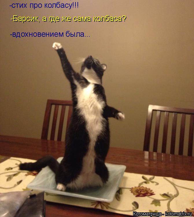 Котоматрица: -стих про колбасу!!! -Барсик, а где же сама колбаса? -вдохновением была...