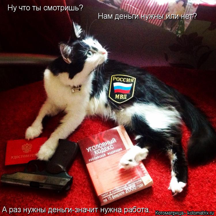 Котоматрица: Ну что ты смотришь? Нам деньги нужны или нет? А раз нужны деньги-значит нужна работа.