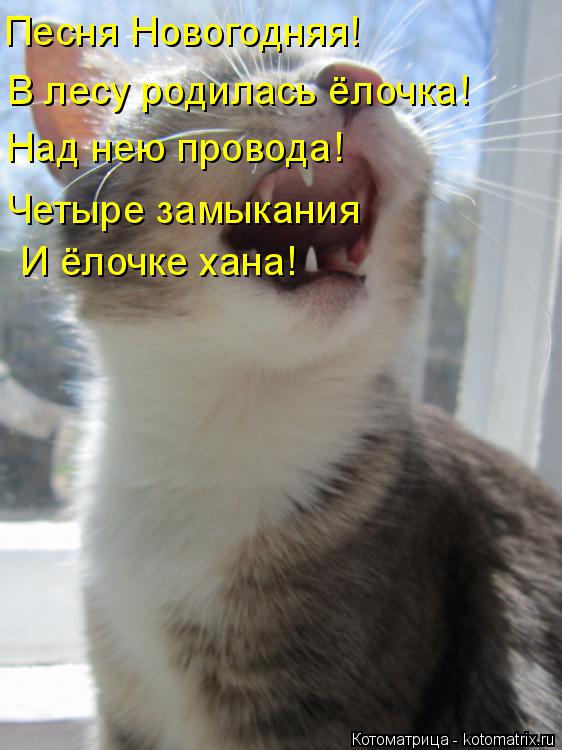 Котоматрица: В лесу родилась ёлочка! Над нею провода! Песня Новогодняя! Четыре замыкания И ёлочке хана!