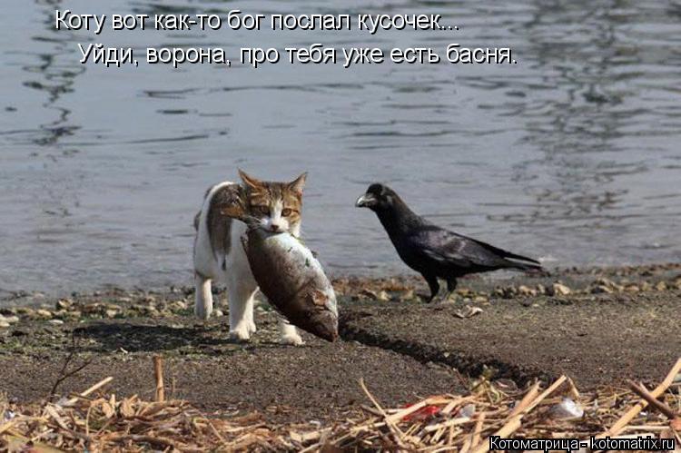 Котоматрица: Коту вот как-то бог послал кусочек...        Уйди, ворона, про тебя уже есть басня.