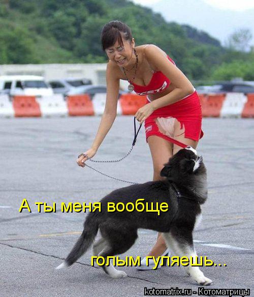 Котоматрица: А ты меня вообще голым гуляешь...