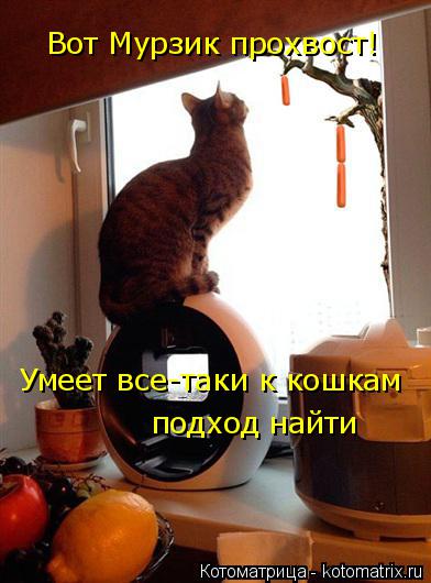 Котоматрица: Вот Мурзик прохвост! Умеет все-таки к кошкам подход найти