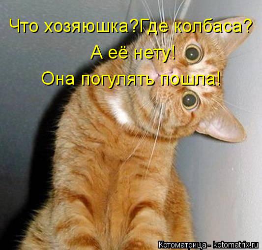 Котоматрица: Что хозяюшка?Где колбаса? А её нету! Она погулять пошла!