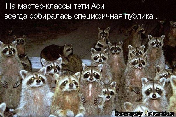 Котоматрица: На мастер-классы тети Аси  всегда собиралась специфичная публика..