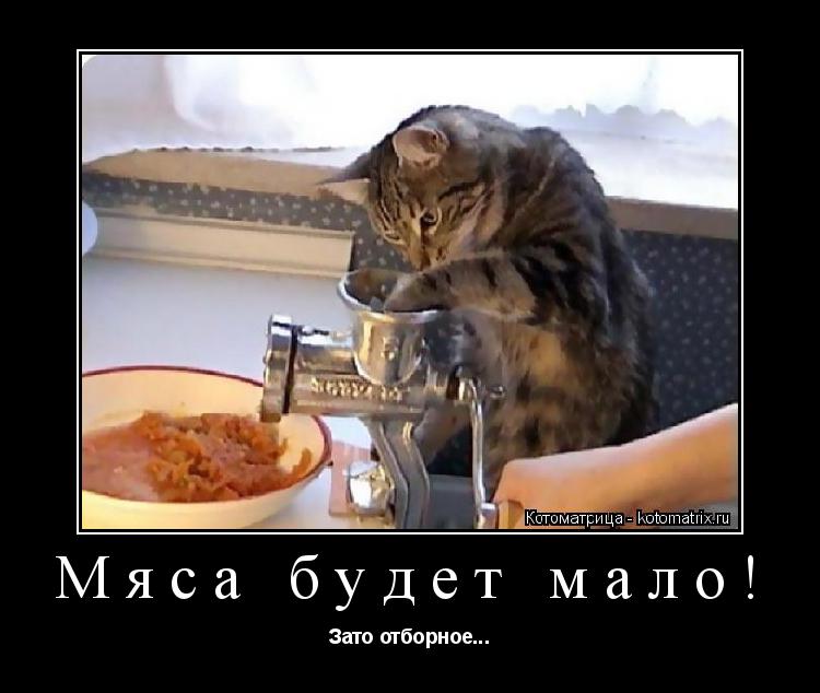 Котоматрица: Мяса будет мало! Зато отборное...