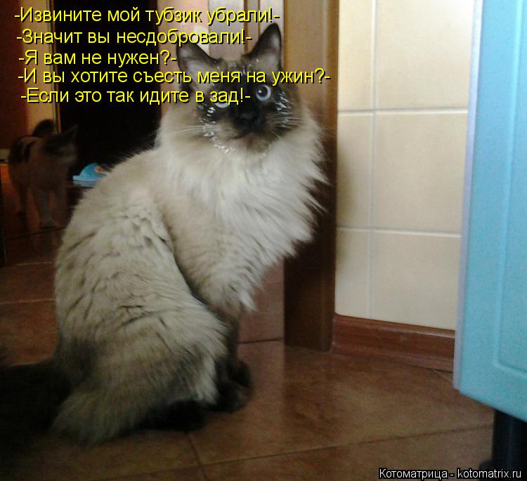 Котоматрица: -Извините мой тубзик убрали!- -Значит вы несдобровали!- -Я вам не нужен?- -И вы хотите съесть меня на ужин?- -Если это так идите в зад!-