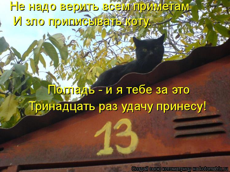 Не надо верить всем приметам И зло приписывать коту. Погладь - и я тебе за это Тринадцать раз удачу п... Котоматрица: Не надо верить всем приметам И зло приписывать коту. Погладь - и я тебе за это Тринадцать раз удачу принесу!