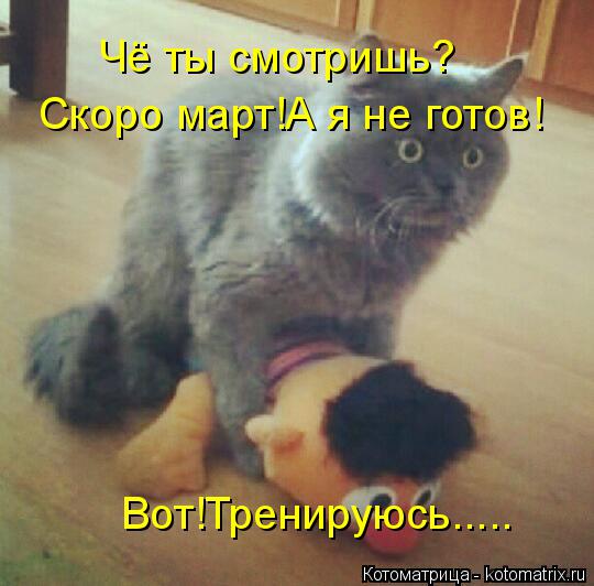 Котоматрица: Чё ты смотришь? Скоро март!А я не готов! Вот!Тренируюсь.....